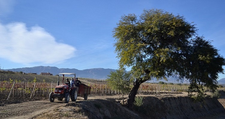 Traveling Between Sucre And Tarija